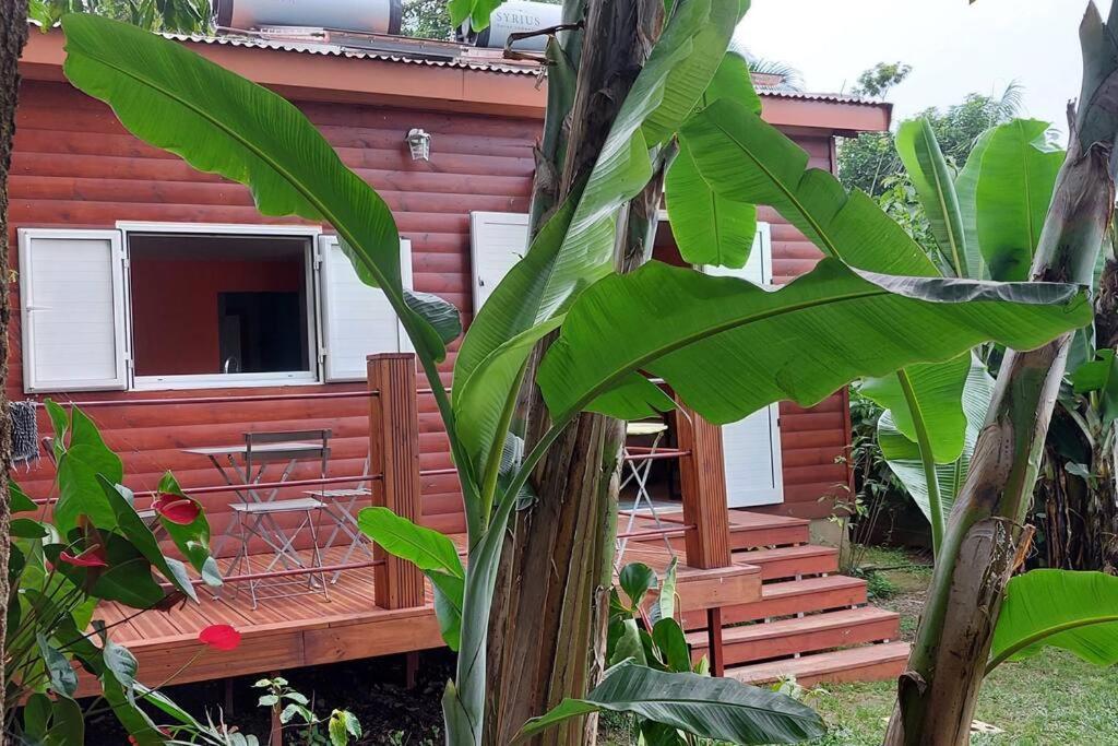 Chalet Les Azalees 勒唐蓬 外观 照片