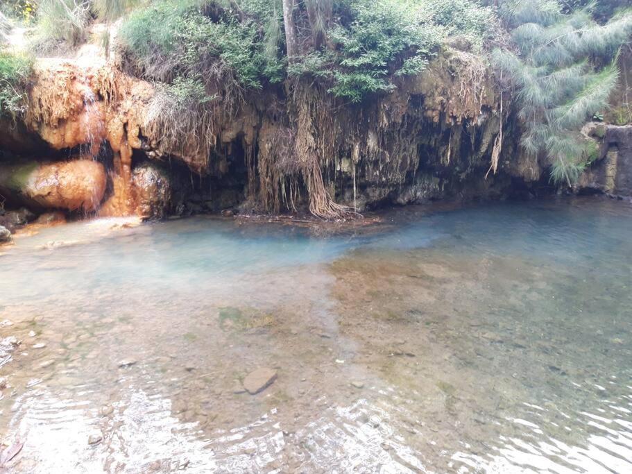 Chalet Les Azalees 勒唐蓬 外观 照片